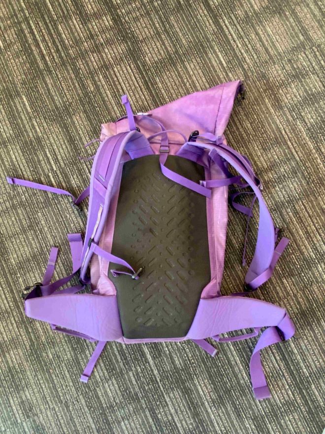 backpack backpanel resize.jpg