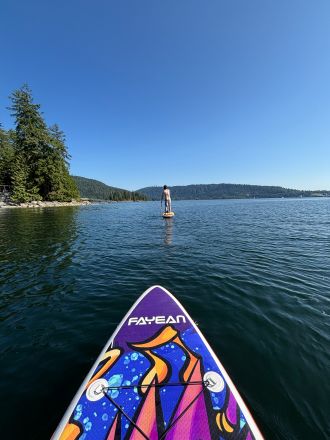 Paddleboards